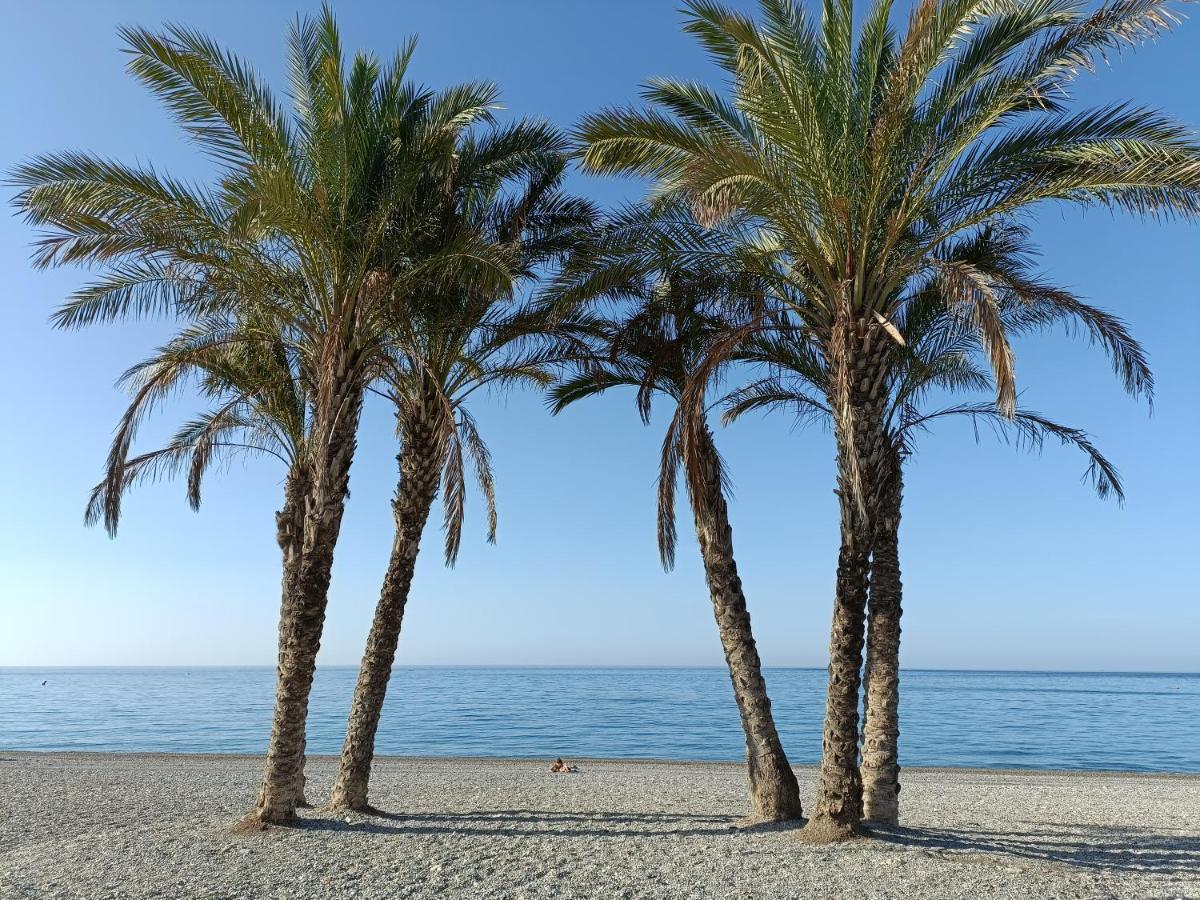 Apartamento Maravilla Tropical - La Herradura Almuñécar Kültér fotó